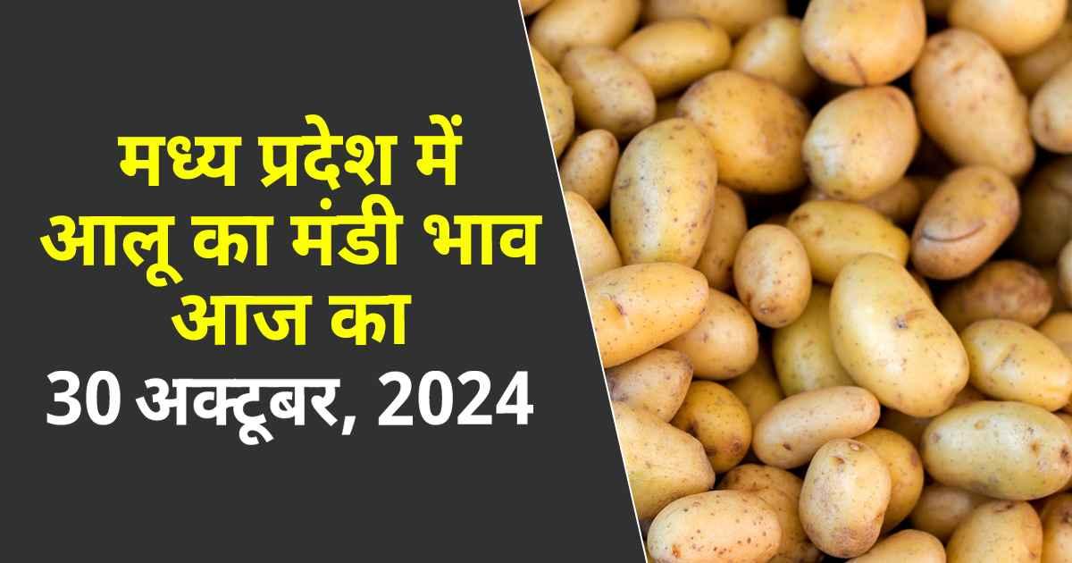 आलू का मंडी भाव